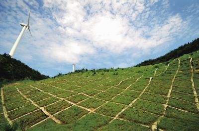 水土保持2020年回眸丨重要规章制度...